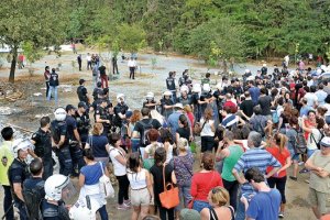 Ağaçları dikerseniz müdahale ederiz